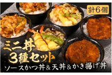 レンジで簡単調理！ミニ丼3種セット！チキンソースカツ丼・天丼・かき揚げ丼 各2個 (計6個セット)【かつ丼 丼 どんぶり ソースカツ 天ぷら 天麩羅 甘えび えび エビ かき揚げ グルメ 惣菜 おかず ごはん 調理済み 簡単調理 温めるだけ レンジ 詰合せ 冷凍】 [A-8405]