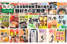 【12ヶ月連続定期便】 麺が毎月届く！麺好きのための定期便 [F-4401] 