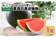 種なし スイカ 6～10kg × 1玉 大玉サイズ ～シャリシャリ甘い東尋坊黒皮種なしスイカ～ 【スイカ 西瓜 フルーツ デザート 旬の味覚 果物 国産 産地直送 お祝い お中元 ギフト】 [A-10271]