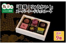 福井県坂井市桃ヶ谷池より ～ 体によい・縁起のよい「龍薤(りゅうかい)」 スーパーフードチョコレート [A-11211]