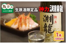 酒米づくりからこだわって作った限定醸造の生原酒「淵龍」  一升瓶 1本 【生原酒 地酒 日本酒 お酒 酒 アルコール 米どころ 冷蔵保存 ギフト 贈り物 贈答】 [A-1307]