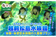 【越前松島水族館】 体験・体感型水族館の入館券プラン 【水族館 入場券 チケット 券 観光 旅行 利用券 入館券 体験 夏休み アウトドア】 [A-11103]