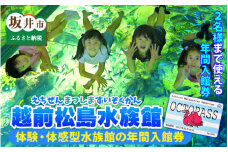 【越前松島水族館】 特別年間パスポート「オクトパス」【水族館 入場券 チケット 券 観光 旅行 年間パスポート 年パス 利用券 入館券 体験 夏休み アウトドア】 [J-11101]