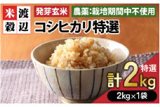 【令和6年産】【発芽玄米】コシヒカリ「特選」 特別栽培米使用 2kg 【無洗米 米 こしひかり 玄米 ギャバ GABA 特別栽培 食物繊維 栄養 真空パック ごはん ご飯 おいしい ふるさと納税米】 [A-2962] 