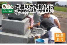 遠くにお住まいでも安心！ お墓のお掃除代行 【1回1基あたり2坪（6.6平米）の範囲まで】 ＋ 敷地内の除草（処分含む）  [B-11472]
