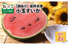 【先行予約】【訳あり】小玉すいか 2玉 坂井市産【2025年7月以降順次発送予定】【スイカ こだますいか 西瓜 小玉 フルーツ デザート 旬の味覚 果物 国産 産地直送】 [A-3222]