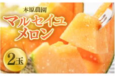 【先行予約】本原農園のマルセイユメロン2玉【2025年6月上旬以降順次発送予定】 [A-8926]