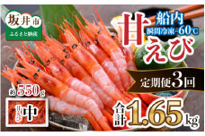 【3ヶ月連続お届け】 漁船直送！船内瞬間冷凍 甘えび 約550g × 3回 計1.65kg 【海老 えび エビ アマエビ あまえび 甘海老 殻付き 有頭 生食 刺身 冷凍 魚介類 魚貝類 産地直送 坂井市産 福井県産 国産 三国 人気】 [B-2317]