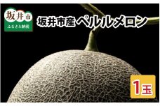【先行予約】糖度が高くシャキシャキした食感「ペルルメロン」 1玉 坂井市産 果物 【2025年6月下旬以降順次発送予定】 [A-3220]