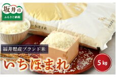 【令和6年産】さんさん池見二代目がお届けする 福井県産いちほまれ 5kg（上白米） [A-0260_01]