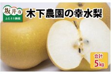 【先行予約】木下農園のみくに梨 「幸水梨」5kg（10～12玉）【2025年8月中旬以降順次発送予定】 [A-12101]