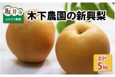 【先行予約】 木下農園のみくに梨 「新興梨」5kg（10～12玉）【2025年10月中旬以降順次発送予定】 [A-12103]