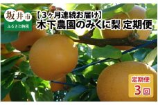 【先行予約】【3ヶ月連続お届け】木下農園のみくに梨 「こだわり梨の定期便」5kg (10～12玉) × 3回【2025年8月中旬以降順次発送予定】  [C-12101]