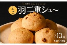 福井の銘菓を洋菓子で味わう 「ミニ羽二重シュー」 5個入り × 2箱セット 【米粉 シュークリーム ギフト お歳暮 敬老の日 お中元】 [A-08163]