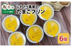 にわとり農家のたまごプリン 6個セット 【たまごプリン ぷりん 卵 洋菓子 おかし お菓子 スイーツ デザート 洋菓子 おやつ 濃厚 ギフト 美味しい 人気 お歳暮 敬老の日 お中元 夏ギフト】レビューキャンペーン実施！ [A-4938]