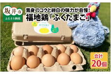 平飼い福地鶏「ふくたまご」 10個 × 2パック [A-4932]