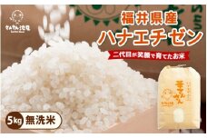 【令和7年産・新米】ハナエチゼン 5kg 華越前 ～坂井市三国町産・こだわりの精米対応～（無洗米） [A-0255_05]