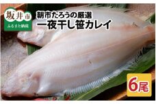 朝市たろうの厳選！ 一夜干し 笹カレイ 6尾！！ [A-12302]