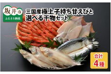 朝市たろうの三国産極上！子持ち甘えび 500gと、選べる干物 3種セット（カレイ3尾、スルメ2杯、鯖1尾） [A-12341_01]