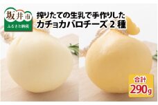 搾りたての生乳で手作りした、カチョカバロチーズ 2個 詰め合わせ（プレーン、くん製）【チーズ ちーず イタリア系チーズ 生乳 しぼりたて 燻製 熟成 ミルク 発酵食品 乳製品 加工食品 おつまみ おかず 手作り 冷蔵 アレンジ セット 詰合せ 越前チーズ工房 国産】 [A-11905]