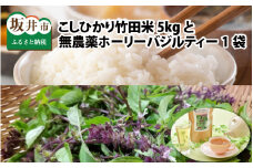 【先行予約】【令和7年産・新米】 福井県産 清流こしひかり 竹田米 5kg と 竹田産無農薬ホーリーバジルティー（玄米） 【2025年9月下旬以降順次発送予定】 [A-7422_02]