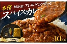 ハーブ講師が作る 教室で人気のカレースパイスセット （5食分 × 2箱） 【アレルゲンフリー】 【スパイス スパイスカレー スパイスセット グルテンフリー 無添加 カレーパウダー おうちカレー カレー粉 香辛料 セット 手作り キット 薬膳カレー スープカレー ギフト】 [A-13004]