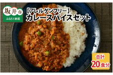 ハーブ講師が作る教室で人気のカレースパイスセット （5食分 × 4箱）【アレルゲンフリー】 【スパイス スパイスカレー スパイスセット カレーパウダー おうちカレー カレー粉 香辛料 セット 手作り キット 薬膳カレー スープカレー ギフト】 [A-13012]