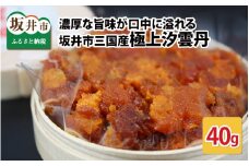 濃厚な旨味が口中に溢れる 坂井市三国産 極上汐雲丹 40g [C-9202]