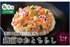 贅沢！越前がにを使用！越前めおとちらし [D-5905]