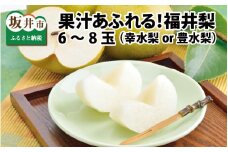 【先行予約】「福井梨」6～8玉 シャキっとした食感♪ あふれ出す果汁！【豊水梨】【2025年9月上旬～9月下旬発送予定】【梨 なし 和梨 先行予約 ナシ フルーツ 甘い みずみずしい 果実 果物 新鮮 お土産 贈り物 旬の果物】 [A-1007_09]