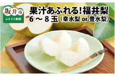 【先行予約】「福井梨」6～8玉 シャキっとした食感♪ あふれ出す果汁！【豊水梨】【2025年9月上旬～9月下旬発送予定】【梨 なし 和梨 先行予約 ナシ フルーツ 甘い みずみずしい 果実 果物 新鮮 お土産 贈り物 旬の果物】 [A-1007_09]