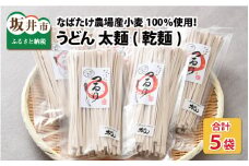 美味しさにつるり！！なばたけ農場産小麦100％ うどん（乾麺）太麺 250g × 5袋 [A-13603]