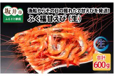 【先行予約】 漁船からその日の獲れたて甘えびを発送！新鮮さピカイチ！ふく福甘えび（生）600g 【2024年9月中旬以降順次発送予定】【甘海老 あまえび アマエビ えび 海老 有頭 刺身 生食 海鮮 海産物 魚貝類 魚介類 新鮮】 [A-13510]