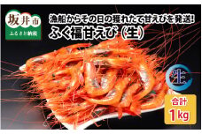 【先行予約】 漁船からその日の獲れたて甘えびを発送！新鮮さピカイチ！ふく福甘えび（生）1kg 【2024年9月中旬以降順次発送予定】 【甘海老 あまえび アマエビ えび 海老 有頭 刺身 生食 海鮮 海産物 魚介類 新鮮】 [B-13501]