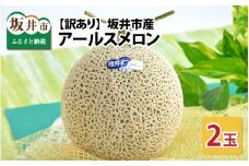 【先行予約】【訳あり】坂井市産 アールスメロン 2玉 【2025年9月上旬以降順次発送予定】[A-3232]
