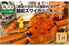 【先行予約】名人が茹でる 指折れ訳あり越前がに(大)1杯 1kg前後 やまに仕込み【2月発送分】 [K-4303_02]