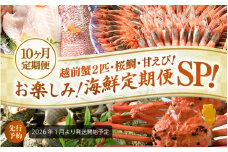 【先行予約】【1月から10ヶ月お届け】≪茹で≫越前蟹2匹・桜鯛・甘えび！お楽しみ！海鮮定期便SP！【2026年1月より発送開始予定】[Q-1602]