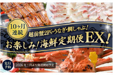 【先行予約】【1月から10ヶ月お届け】≪茹で≫越前蟹2匹・うなぎ・鯛しゃぶ！お楽しみ！海鮮定期便EX！【2026年1月より発送開始予定】[S-1604]