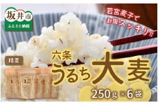 六条うるち大麦 250g × 6袋 (合計1.5kg) プチプチ食感がやみつきに！ 若宮麦子でお腹スッキリ【国産大麦 うるち麦 健康 腸活 雑穀 穀物 麦ごはん 食物繊維 小分け パック】 [A-13605]