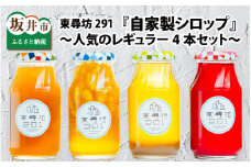東尋坊２９１自家製シロップ　～人気のレギュラー4本セット～ [A-8751]