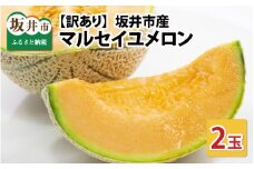 【先行予約】【訳あり】マルセイユメロン 3Lサイズ2玉【期間限定】【2025年6月上旬以降順次発送予定】[A-3228]