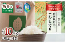 【先行予約】【令和7年産・新米】乳酸菌入りの土壌で育てた福井県 坂井町産 特別栽培米コシヒカリ 10kg（玄米）【2025年9月中旬以降順次発送予定】 [B-4806_02]
