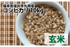 【先行予約】【令和7年産・新米】 福井県坂井市丸岡町産 コシヒカリ 10kg（玄米）【2025年10月より順次発送予定】 [C-11301_02]
