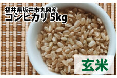 【先行予約】【令和7年産・新米】 福井県坂井市丸岡町産 コシヒカリ 計5kg（玄米）【2025年10月より順次発送予定】 [A-11304_02]