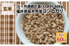 【先行予約】【令和7年産・新米】【6ヶ月連続お届け】福井県坂井市丸岡町産 コシヒカリ10kg×6回　計60kg（玄米）【2025年10月より順次発送予定】 [N-11302_02]