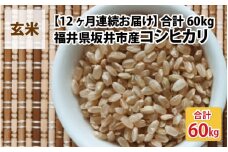 【先行予約】【令和7年産・新米】【12ヶ月連続お届け】福井県坂井市丸岡町産 コシヒカリ5kg×12回 計60kg（玄米）【2025年10月より順次発送予定】 [N-11301_02]