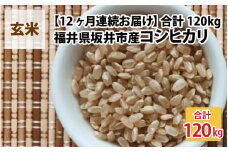 【先行予約】【令和7年産・新米】【12ヶ月連続お届け】福井県坂井市丸岡町産 コシヒカリ10kg×12回 計120kg（玄米）【2025年10月より順次発送予定】 [P-11301_02]