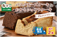 グルテンフリーのケーキセット バスクチーズケーキとおからショコラ 【お菓子 スイーツ ケーキ おやつ ギフト 贈答 美味しい 可愛い 取り寄せ お取り寄せ グルメ  おすすめ 冷凍 デザート  小麦粉不使用】 [B-15401]