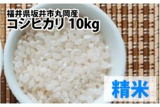 【先行予約】【令和7年産・新米】 福井県坂井市丸岡町産 コシヒカリ 10kg（精米）【2025年10月より順次発送予定】 [C-11301_03]