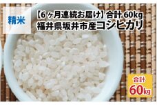 【先行予約】【令和7年産・新米】【6ヶ月連続お届け】福井県坂井市丸岡町産 コシヒカリ10kg×6回　計60kg（精米）【2025年10月より順次発送予定】 [N-11302_03]